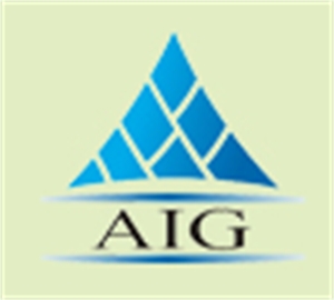 AIG Bildcon Pvt. Ltd